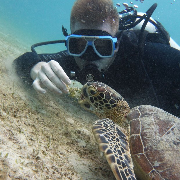 Jake scuba diving in the Philippines, alongside a green sea turtle feeding on the seabed.